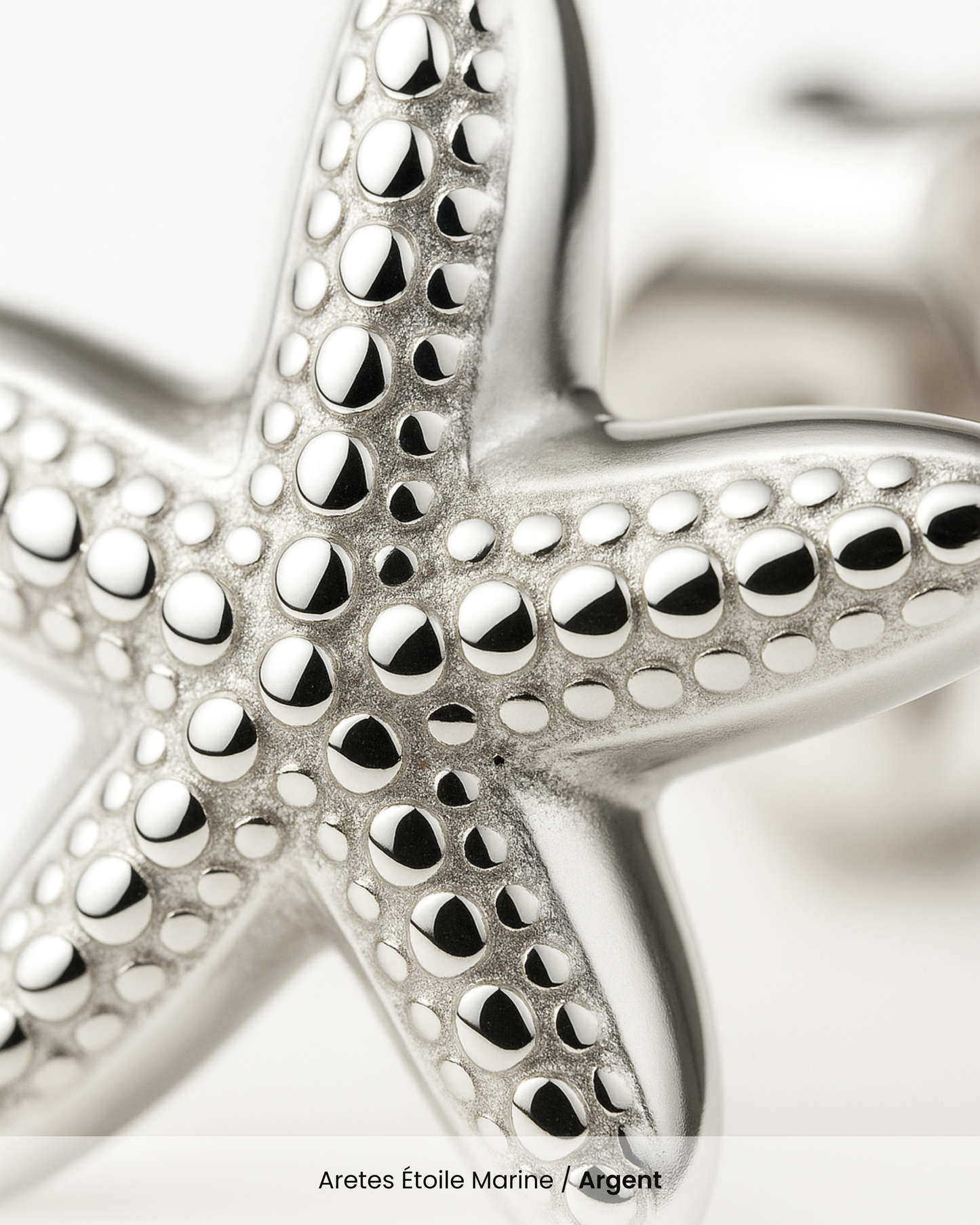 Aretes Étoile Marine