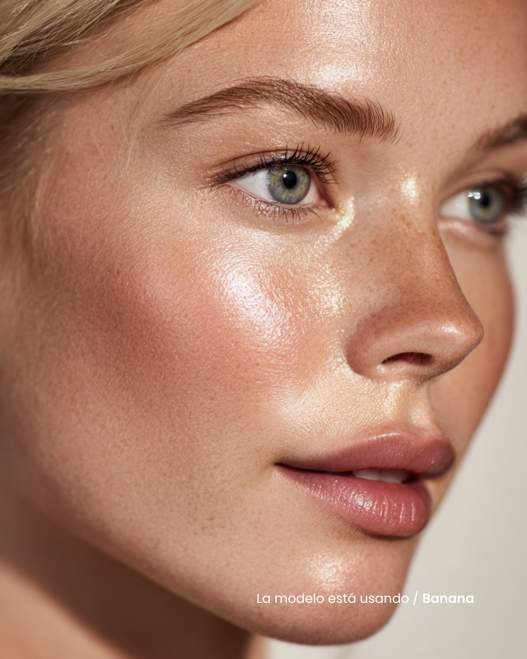 Contour & Highlight Sticks