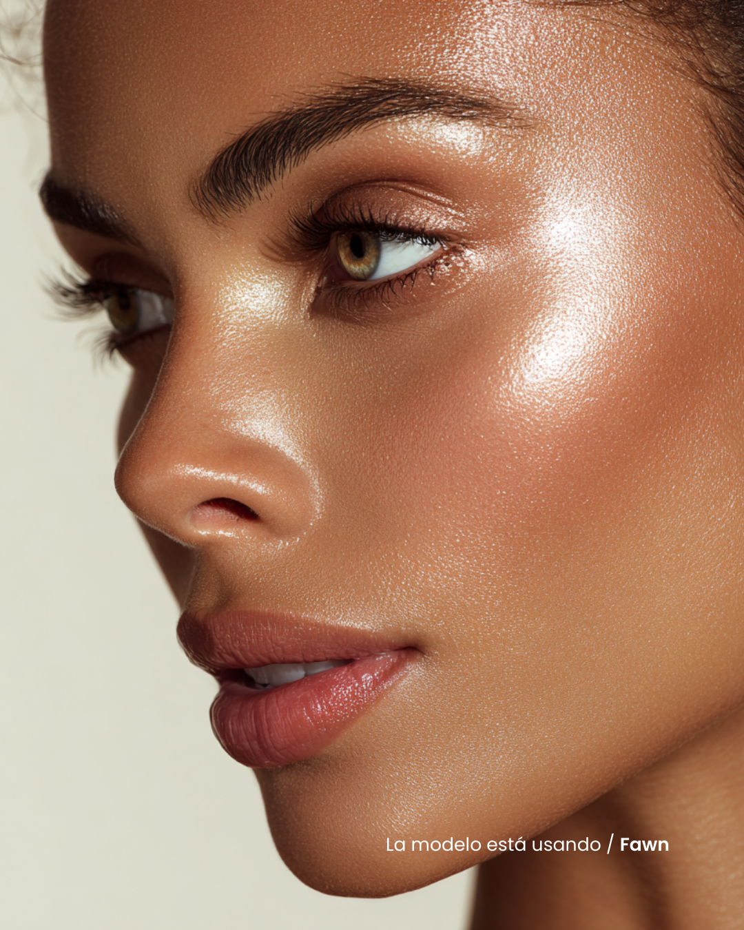 Contour & Highlight Sticks