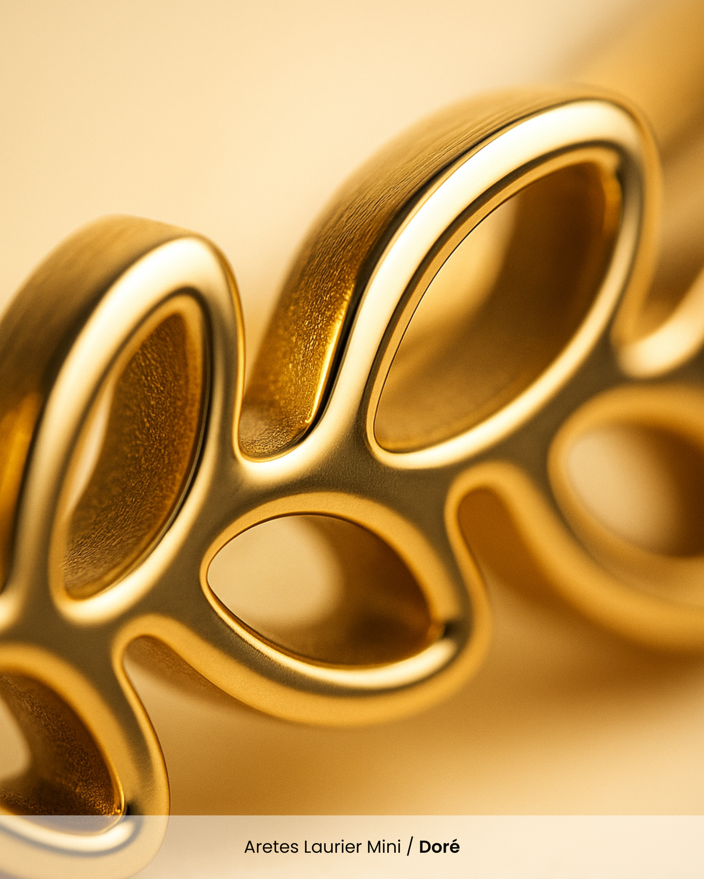 Aretes Laurier Mini