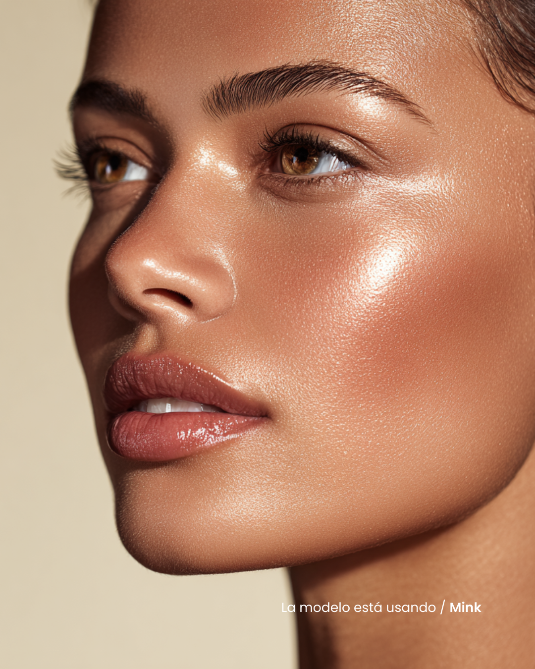 Contour & Highlight Sticks