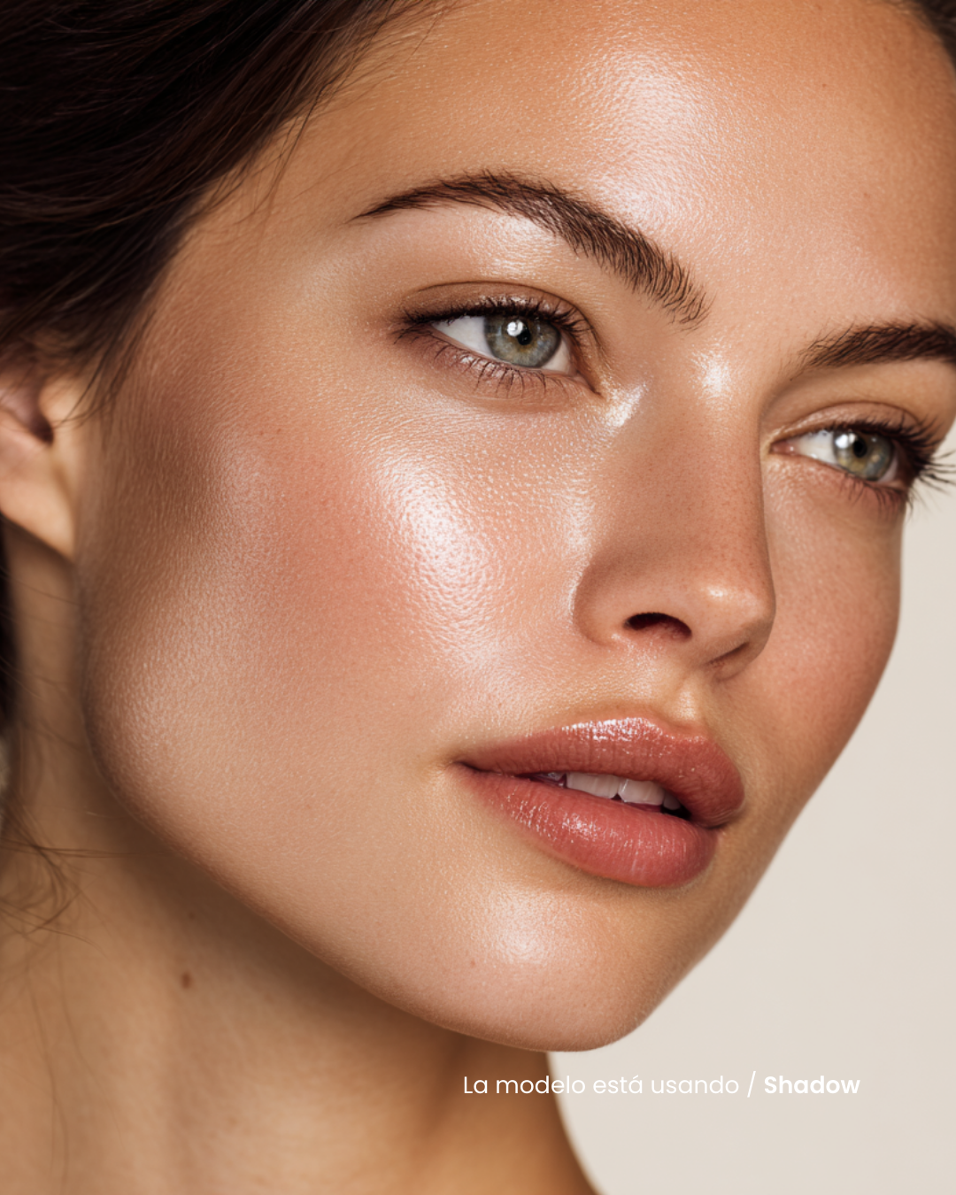 Contour & Highlight Sticks