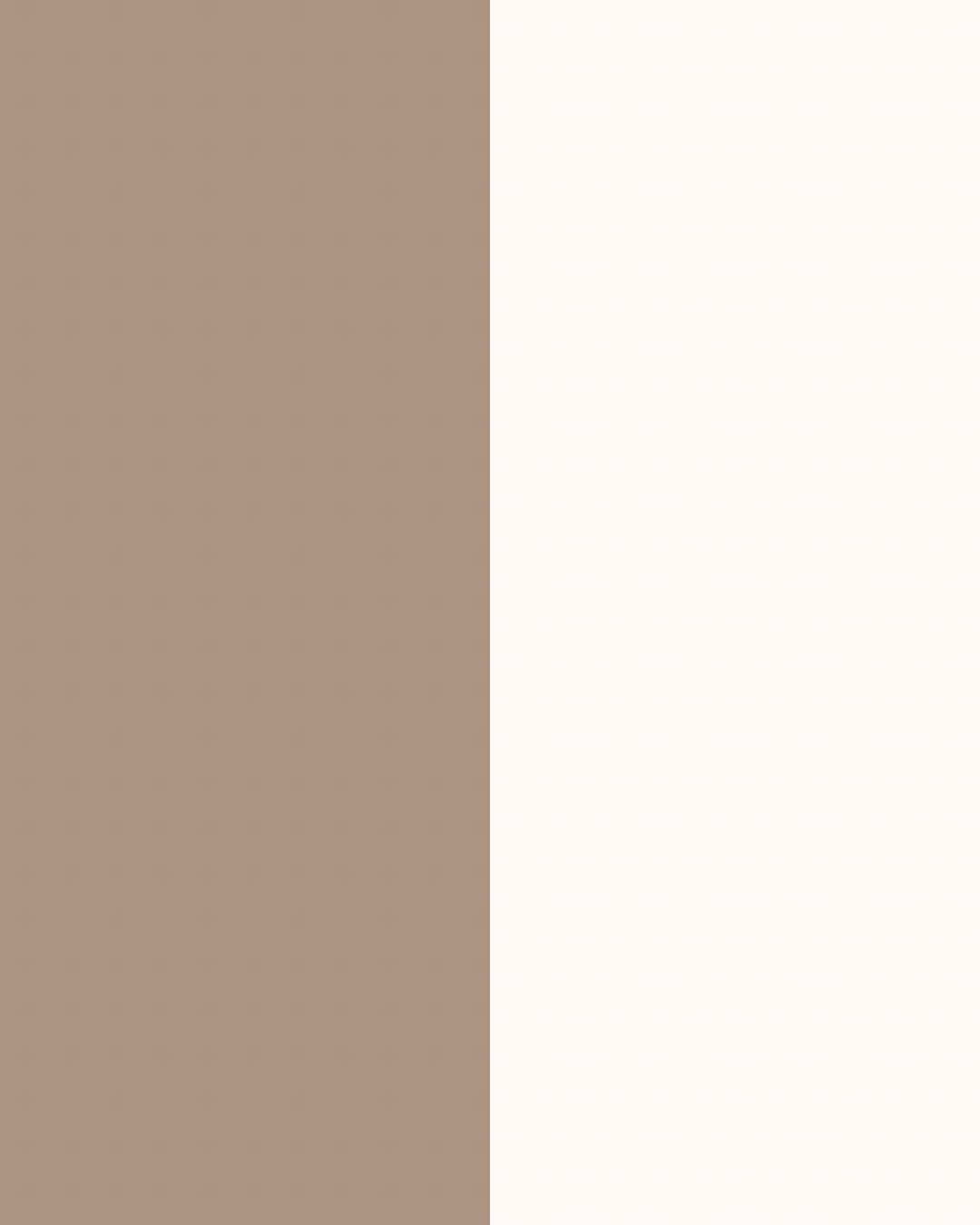 Major Brow Kit