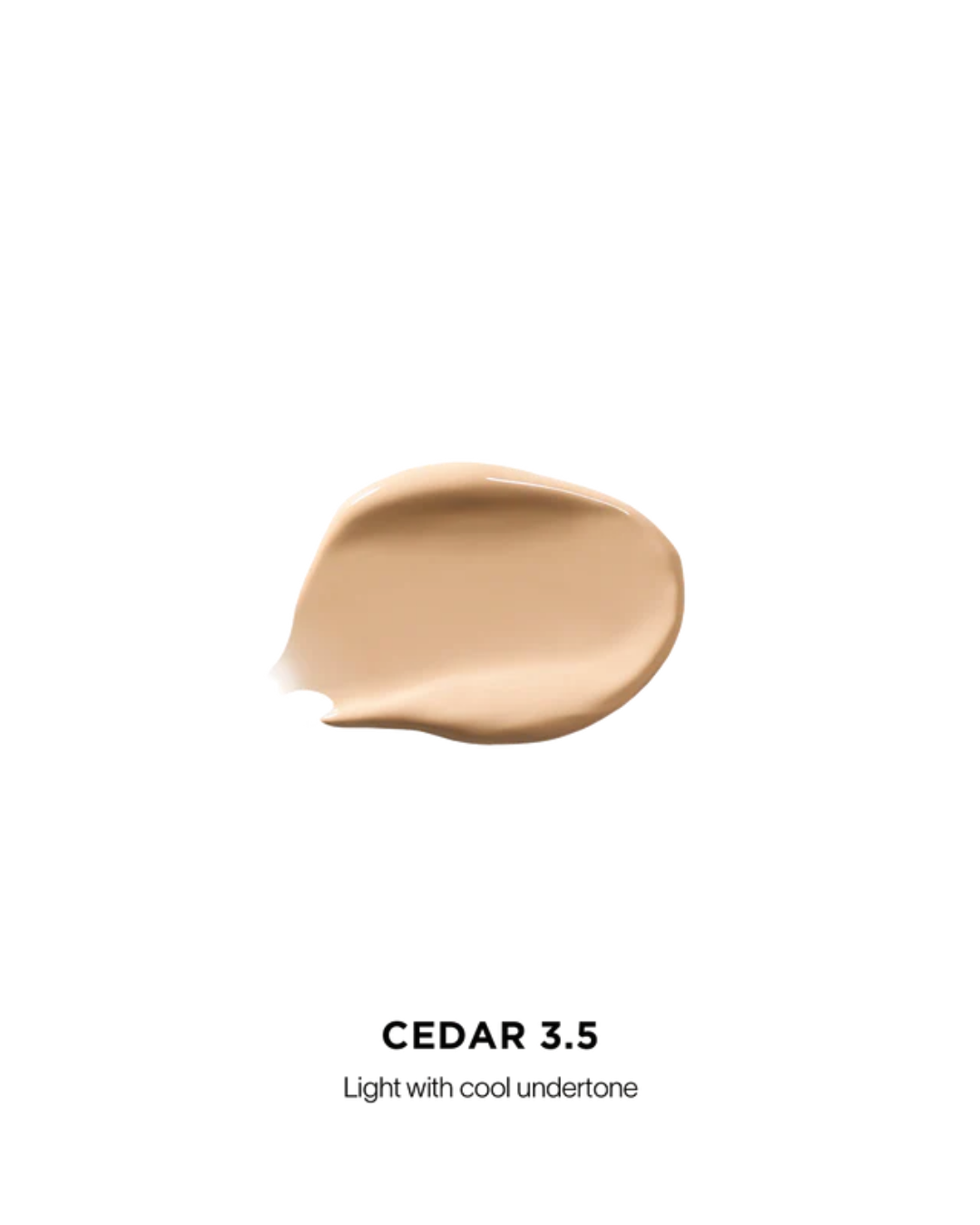 Vanish Airbrush Concealer