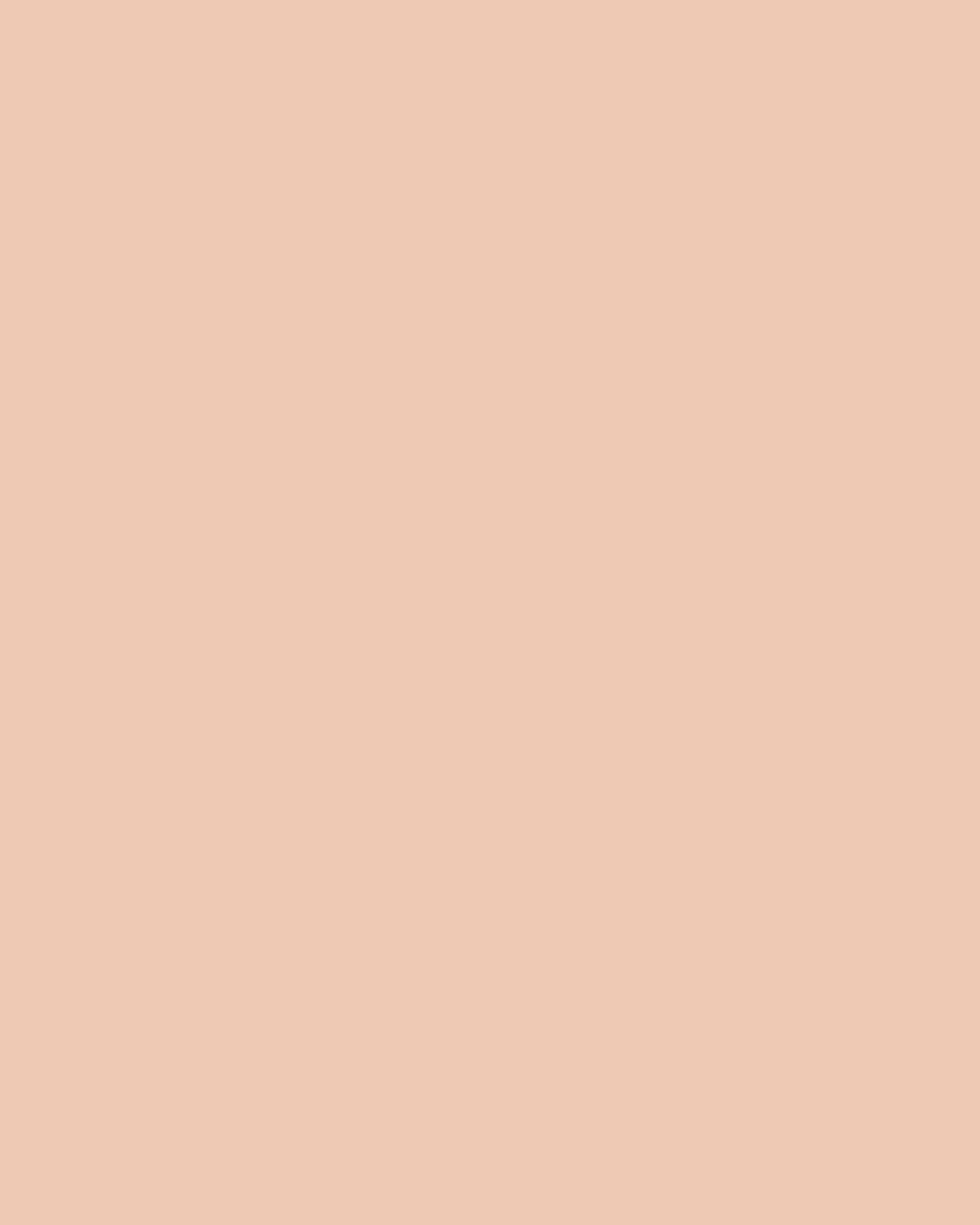 Major Skin Foundation & Complexion Brush Set