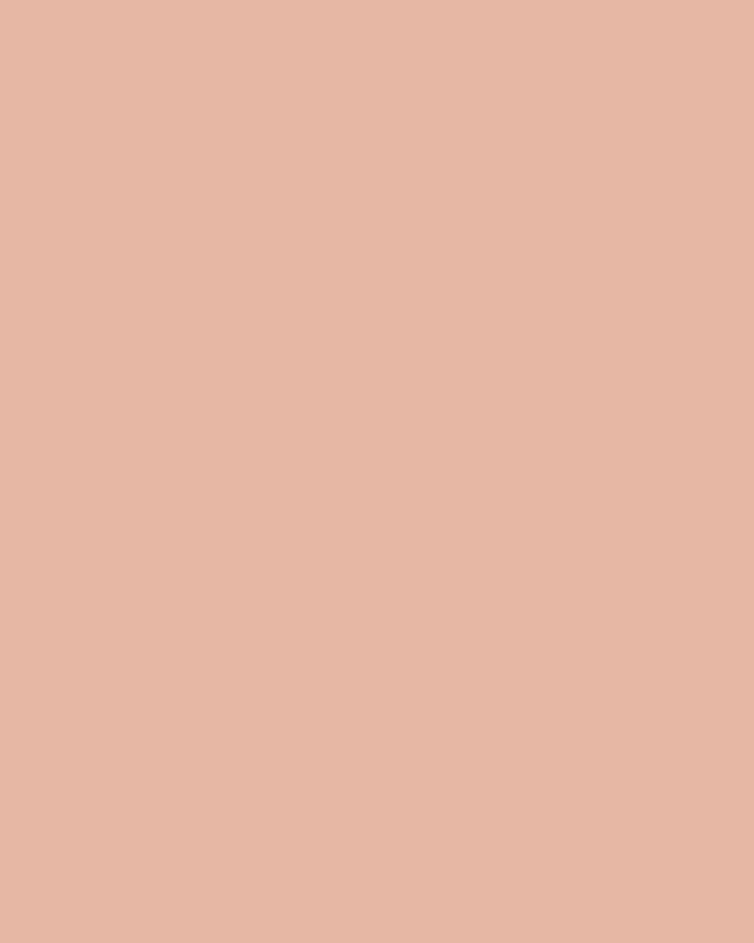 Major Skin Foundation & Complexion Brush Set