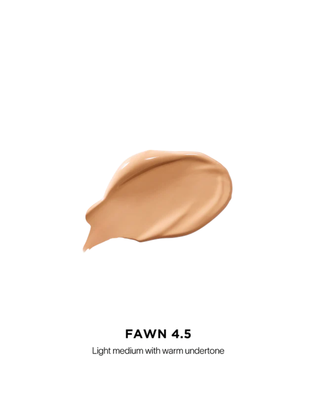 Vanish Airbrush Concealer