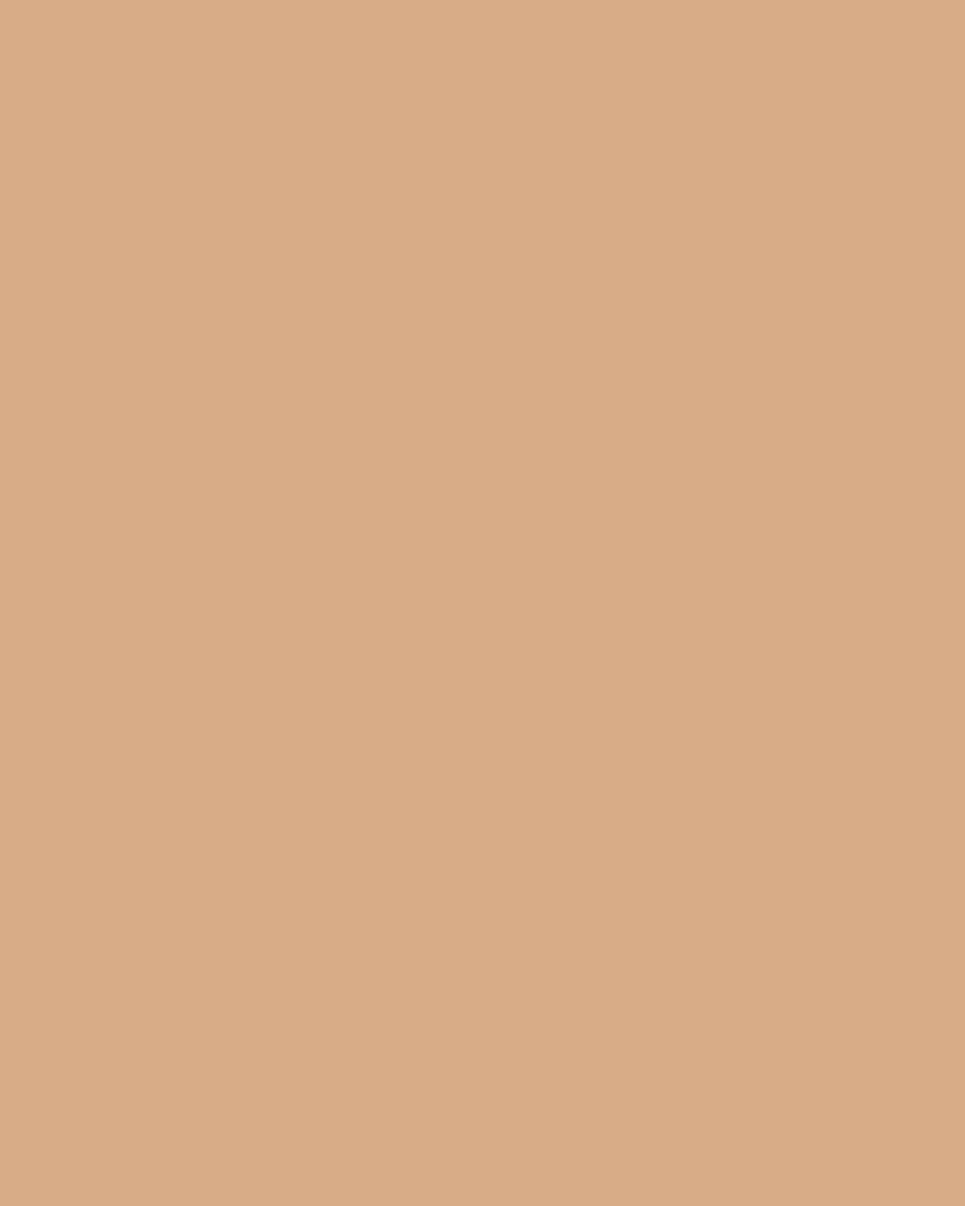 Major Skin Foundation & Complexion Brush Set