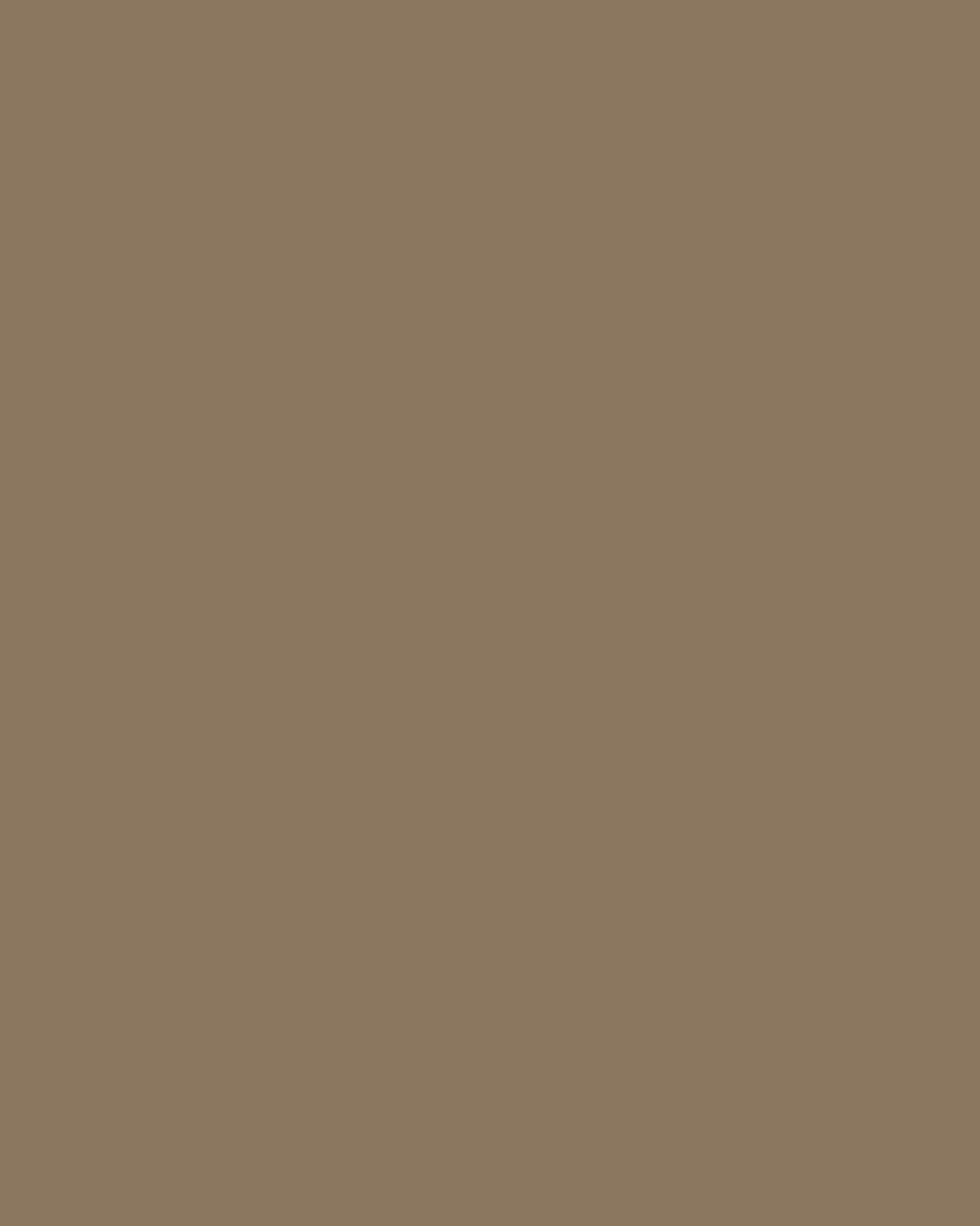 Major Brow Defining Pencil