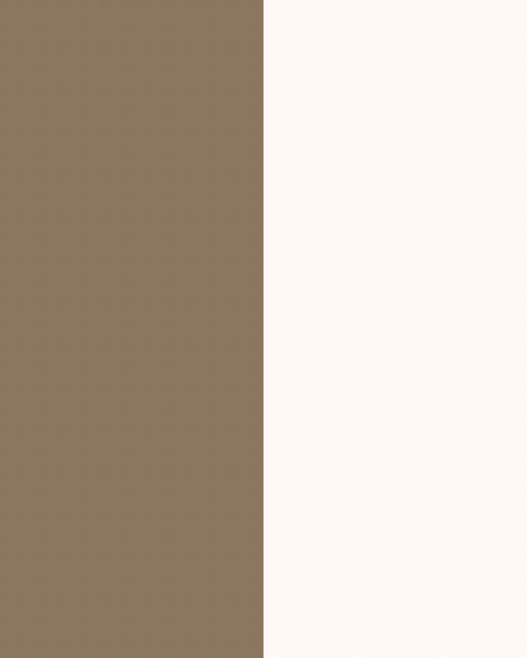 Major Brow Kit