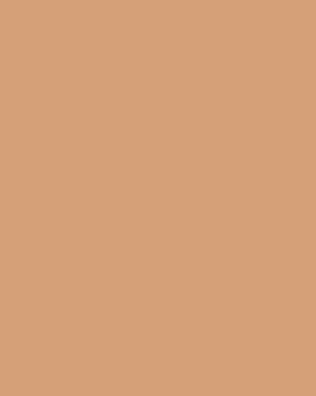 Major Skin Foundation & Complexion Brush Set