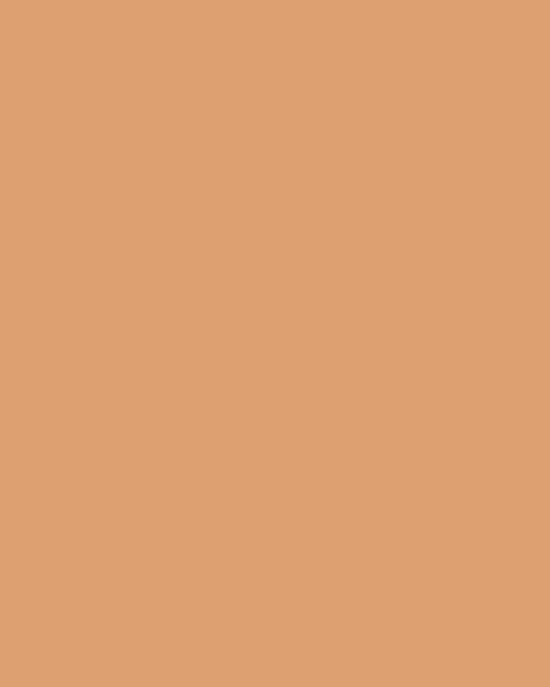 Major Skin Foundation & Complexion Brush Set