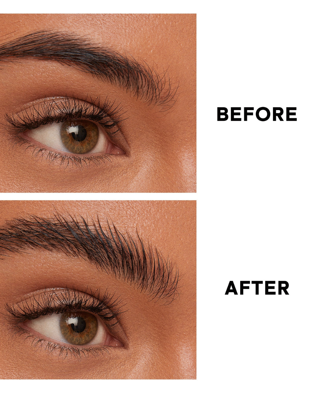 Major Brow Kit