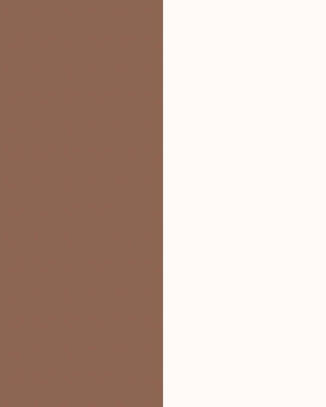 Major Brow Kit