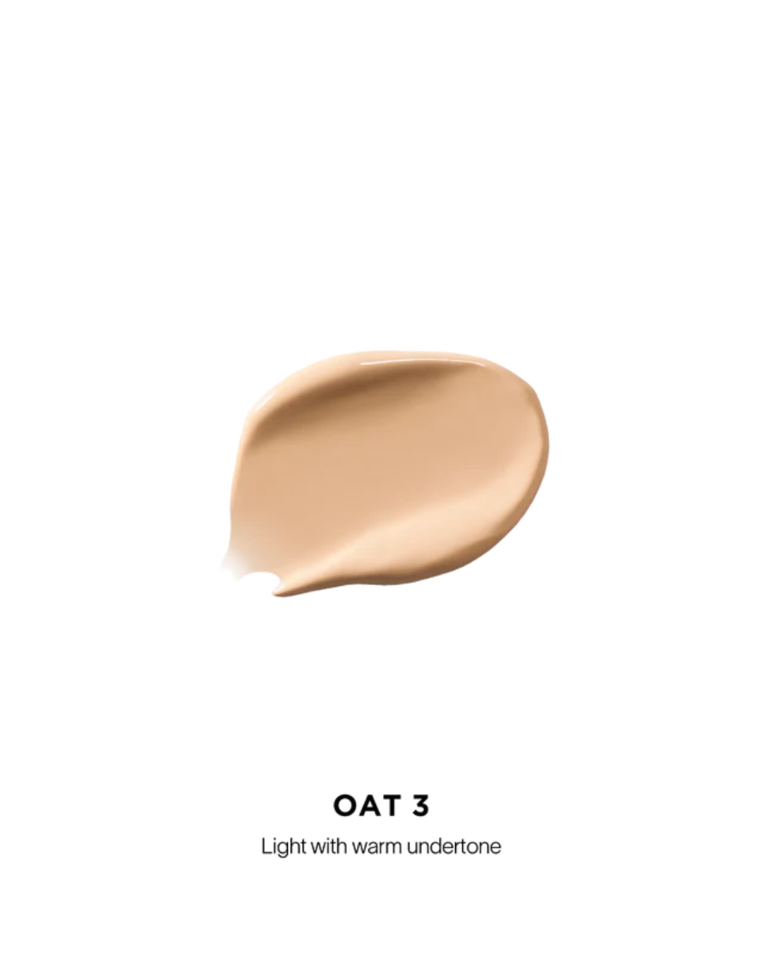 Vanish Airbrush Concealer