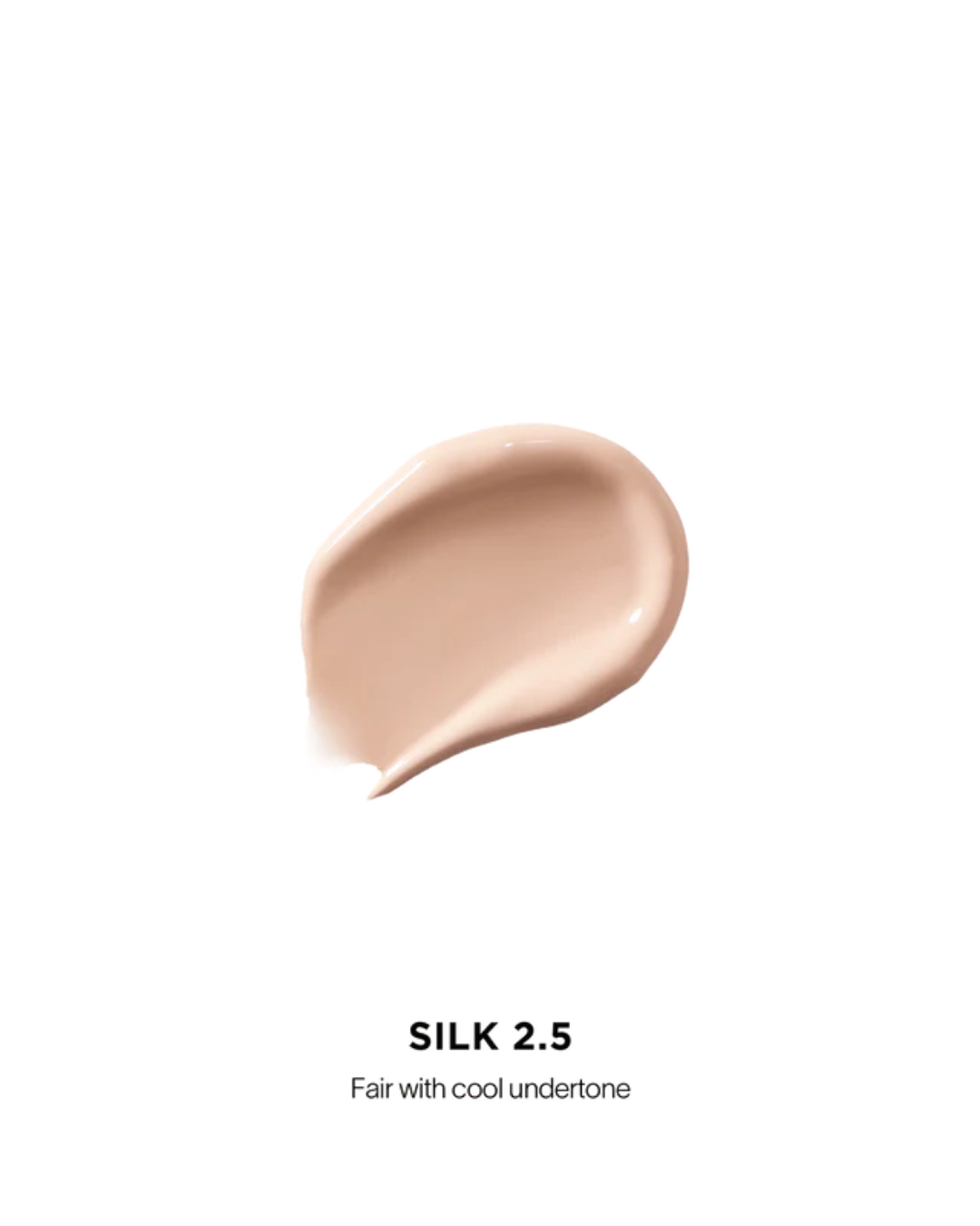 Vanish Airbrush Concealer