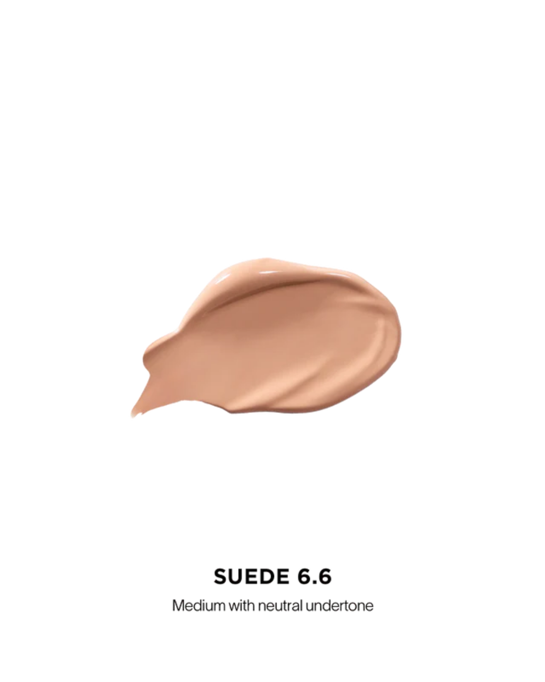 Vanish Airbrush Concealer