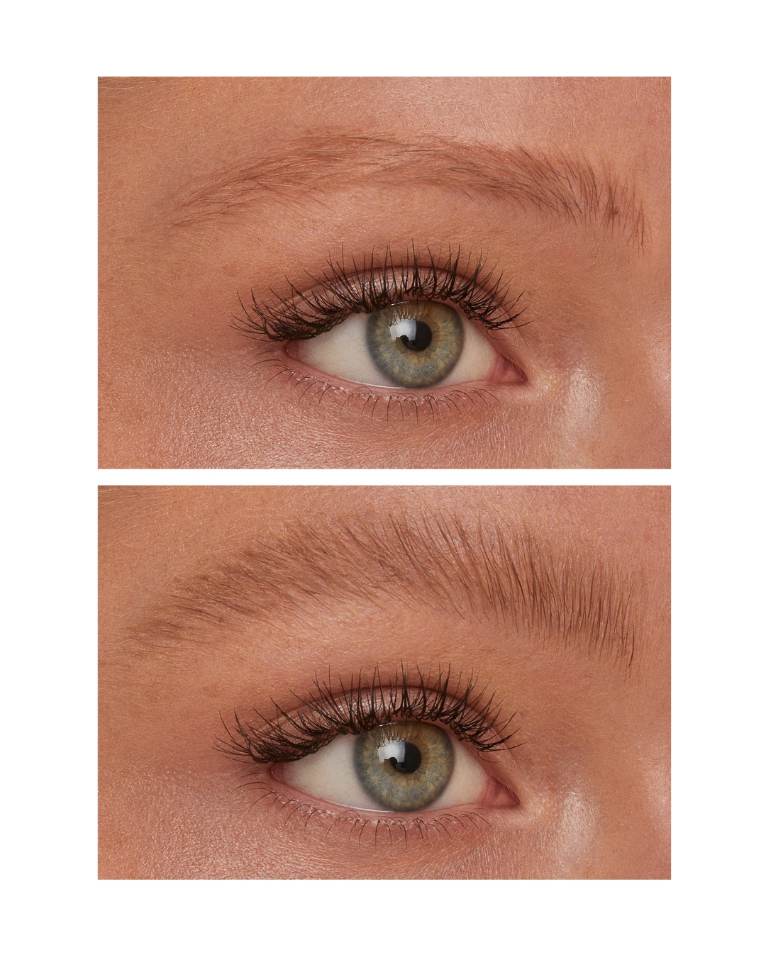 Major Brow Shaping Wax