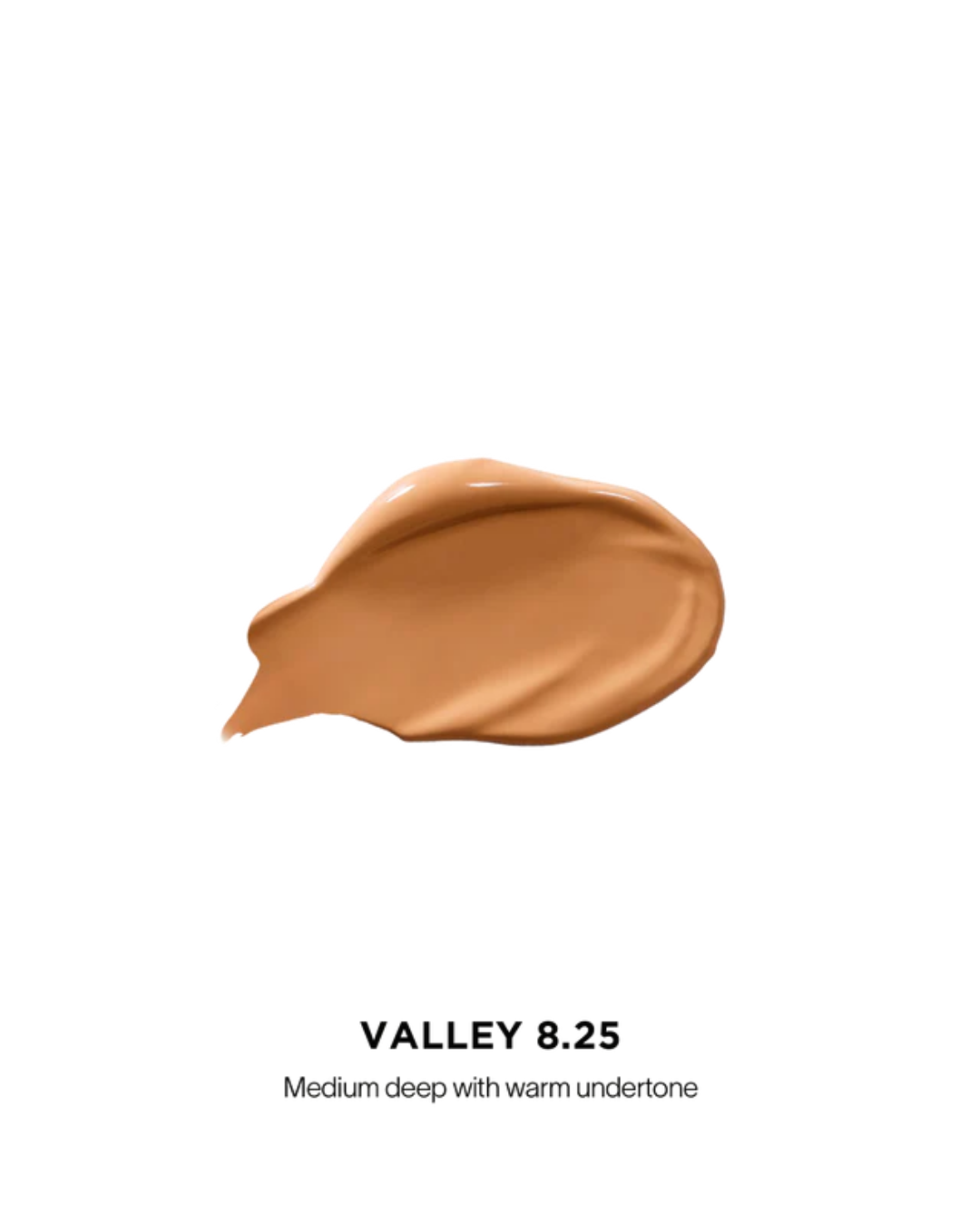 Vanish Airbrush Concealer