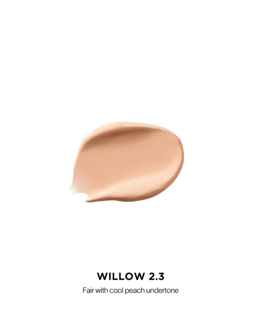 Vanish Airbrush Concealer