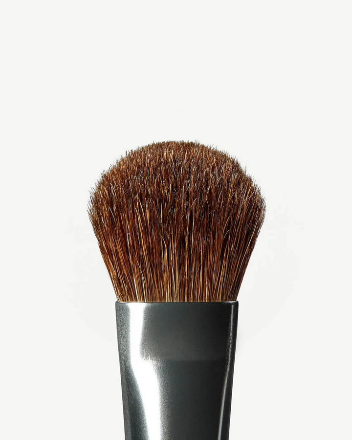 A16 Pro Brush - Large Shadow Brush