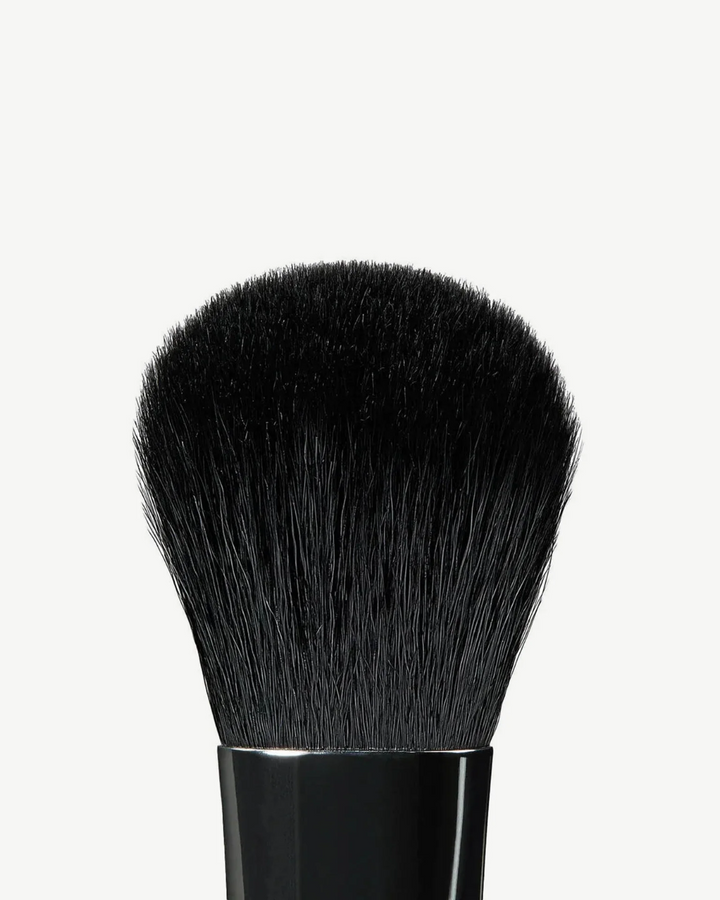 A19 Pro Brush - Blush Brush