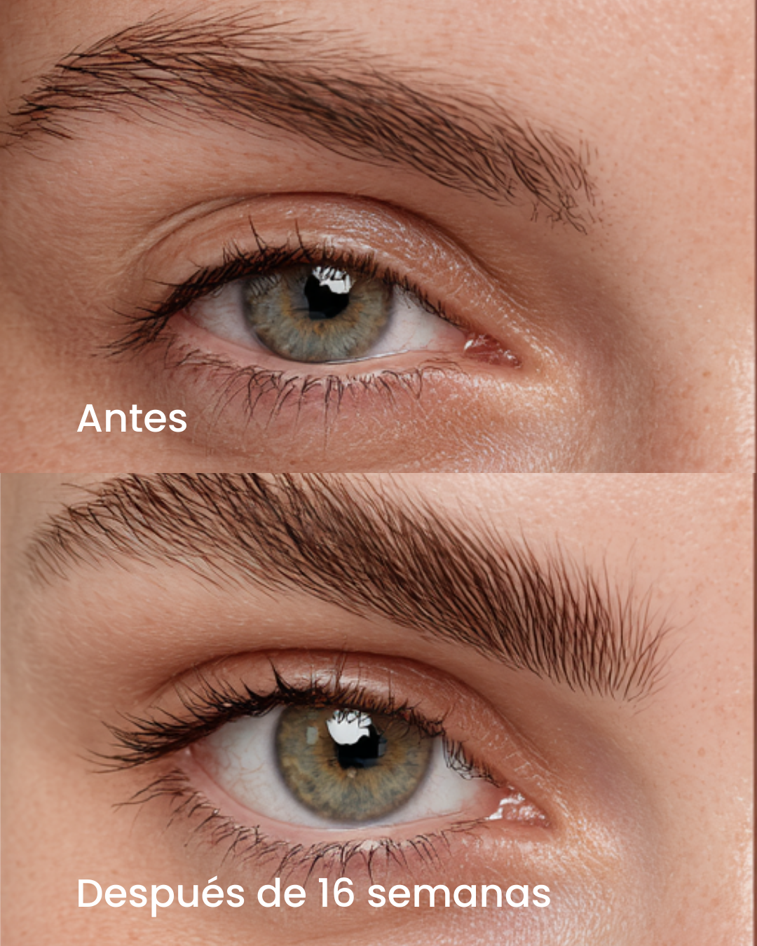 Brow Genius® Conditioning Brow Serum
