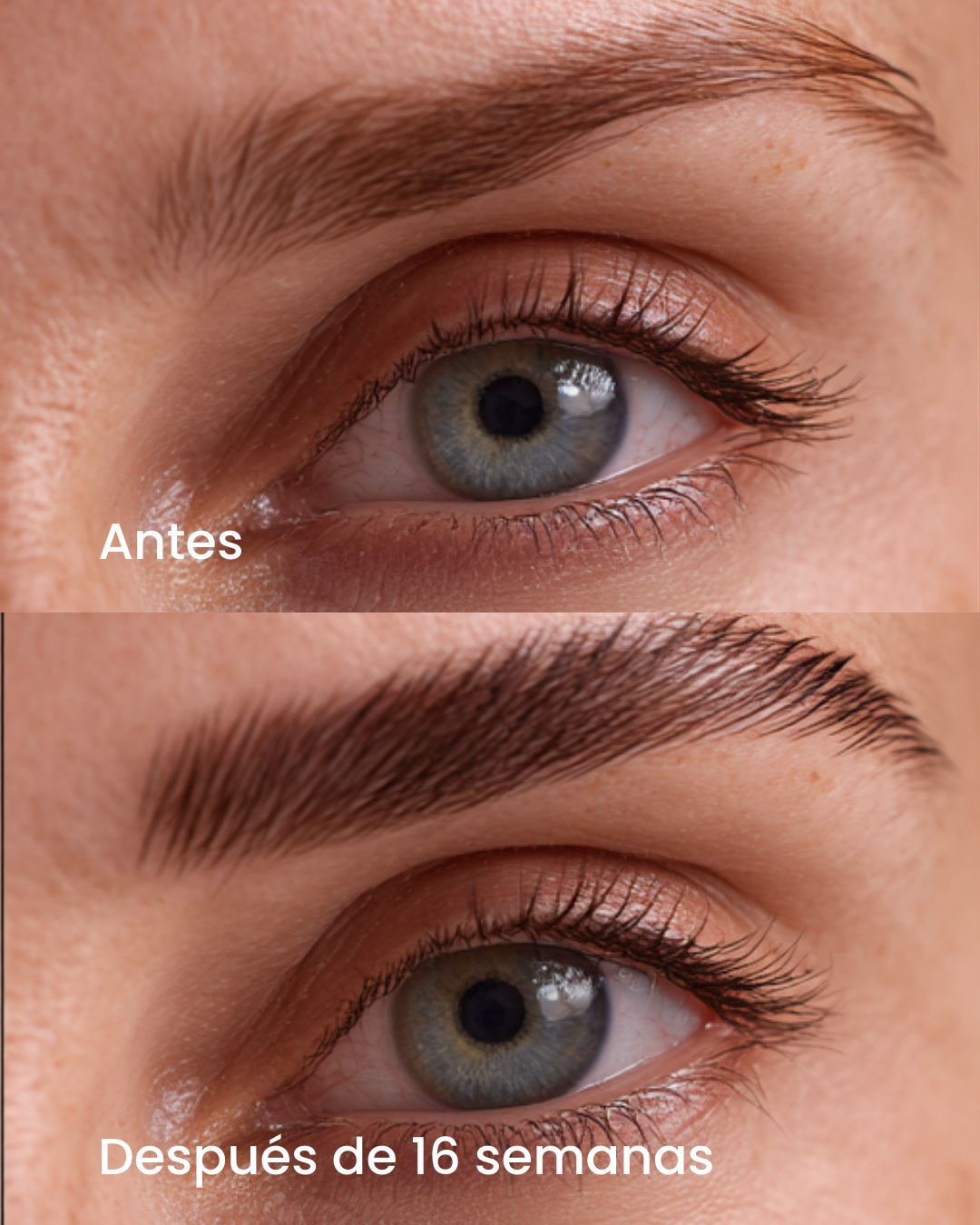 Brow Genius® Conditioning Brow Serum