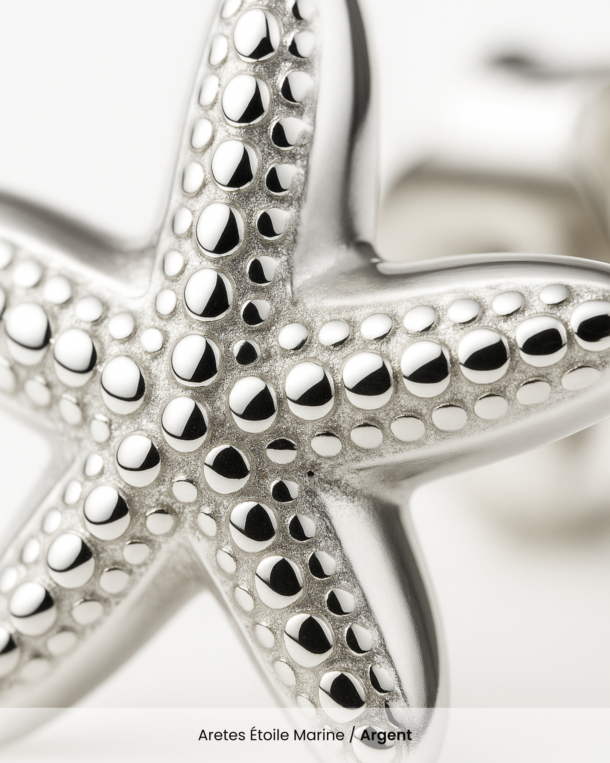 Aretes Étoile Marine