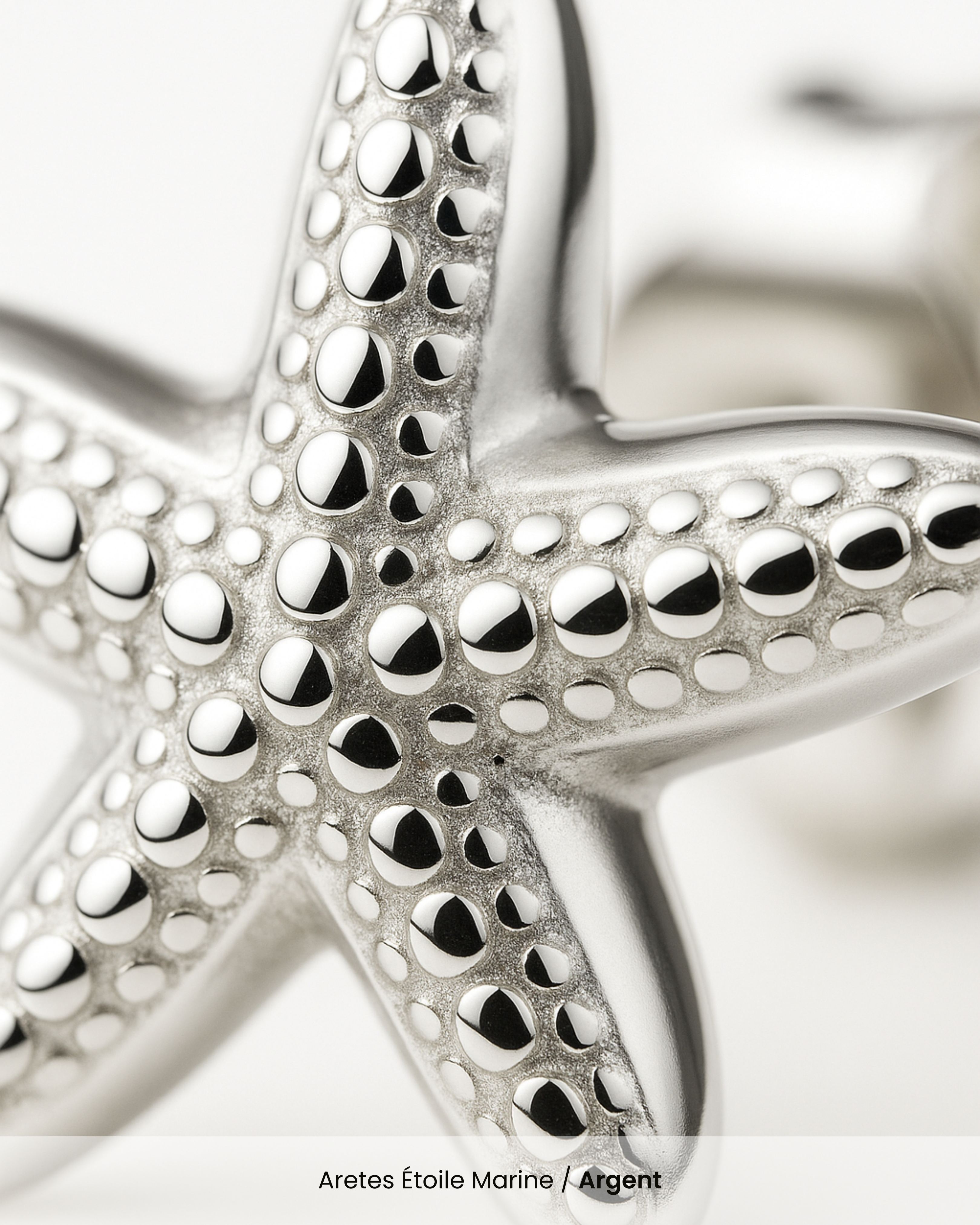 Aretes Étoile Marine