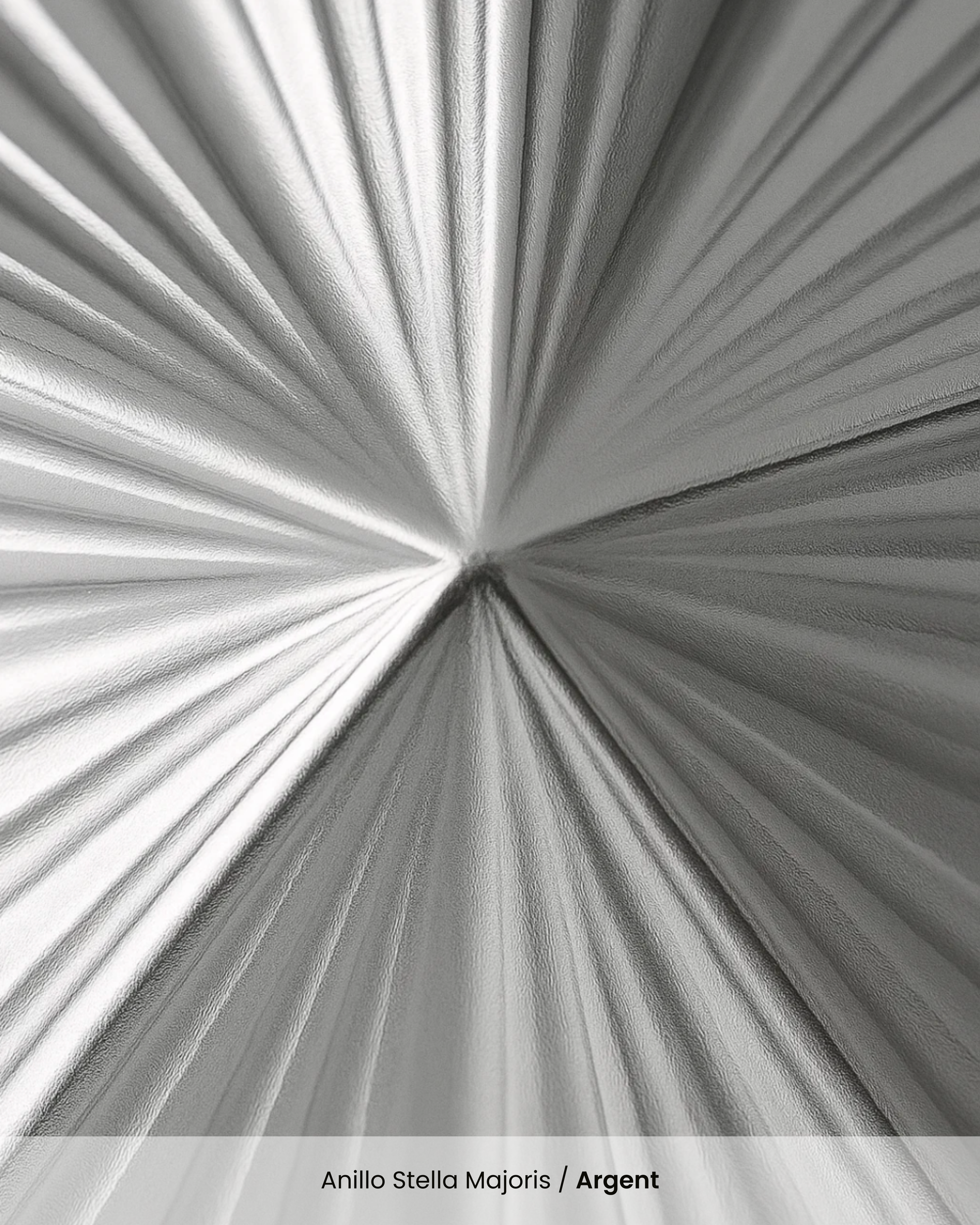 Anillo Stella Majoris