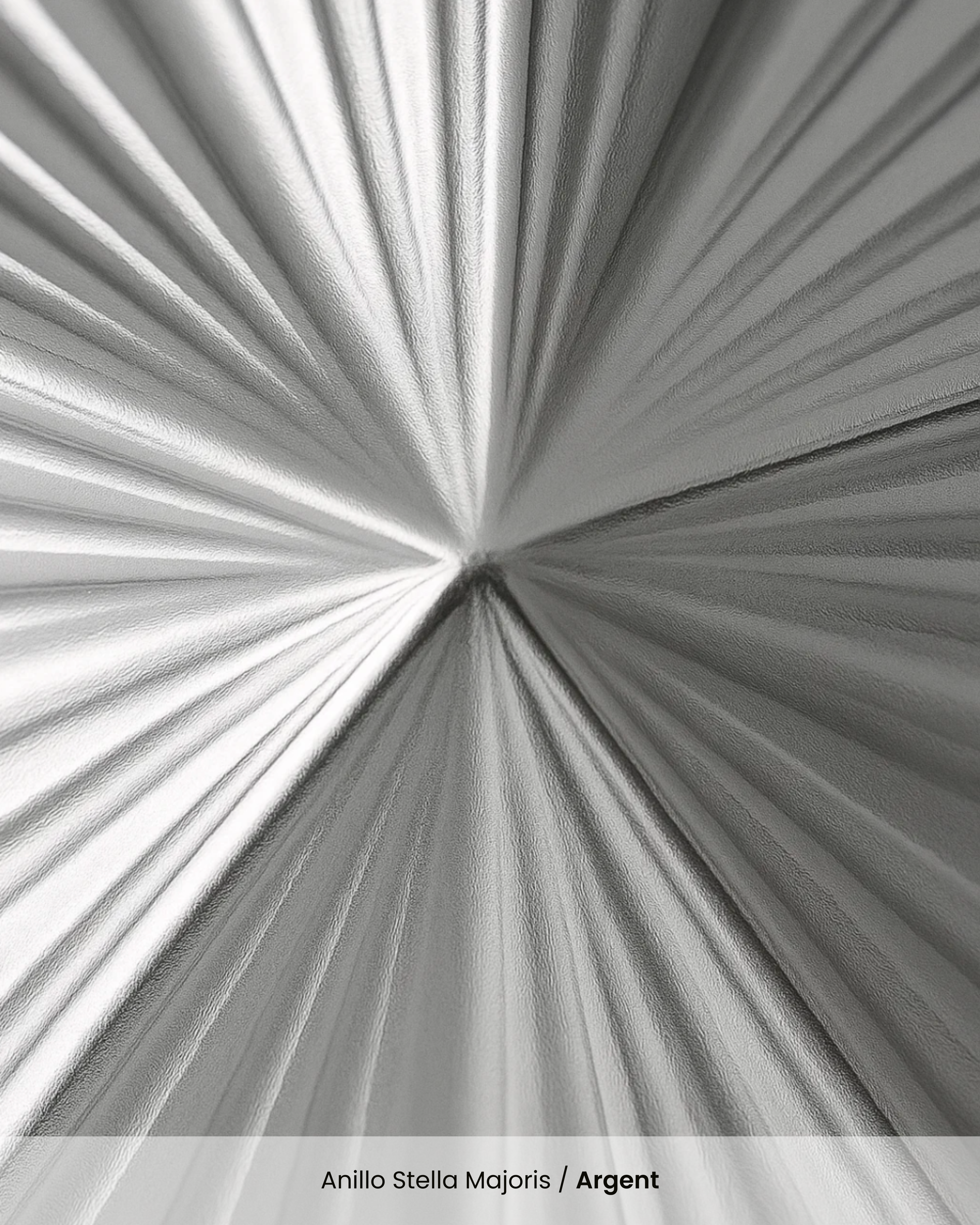 Anillo Stella Majoris