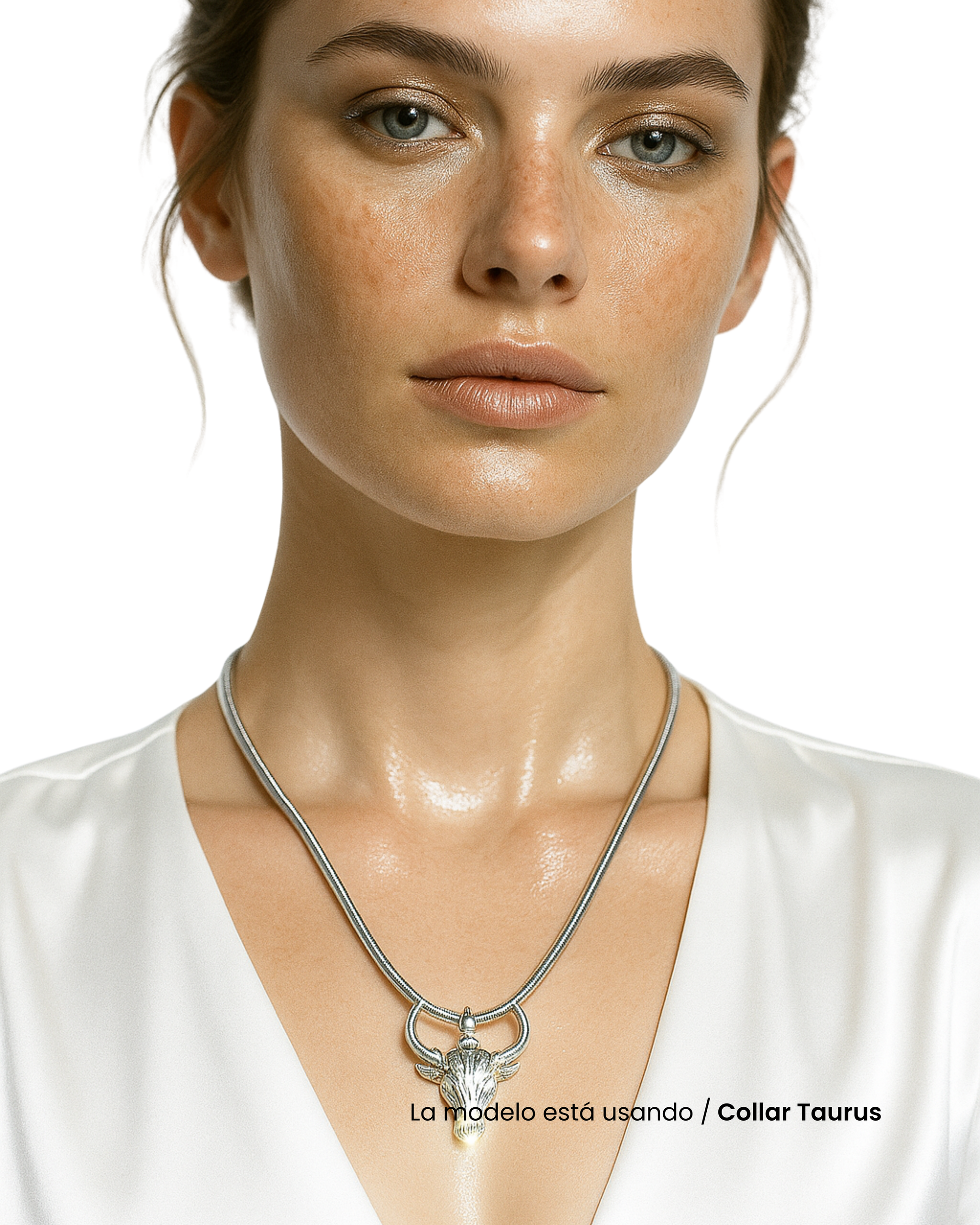 Collar Taurus