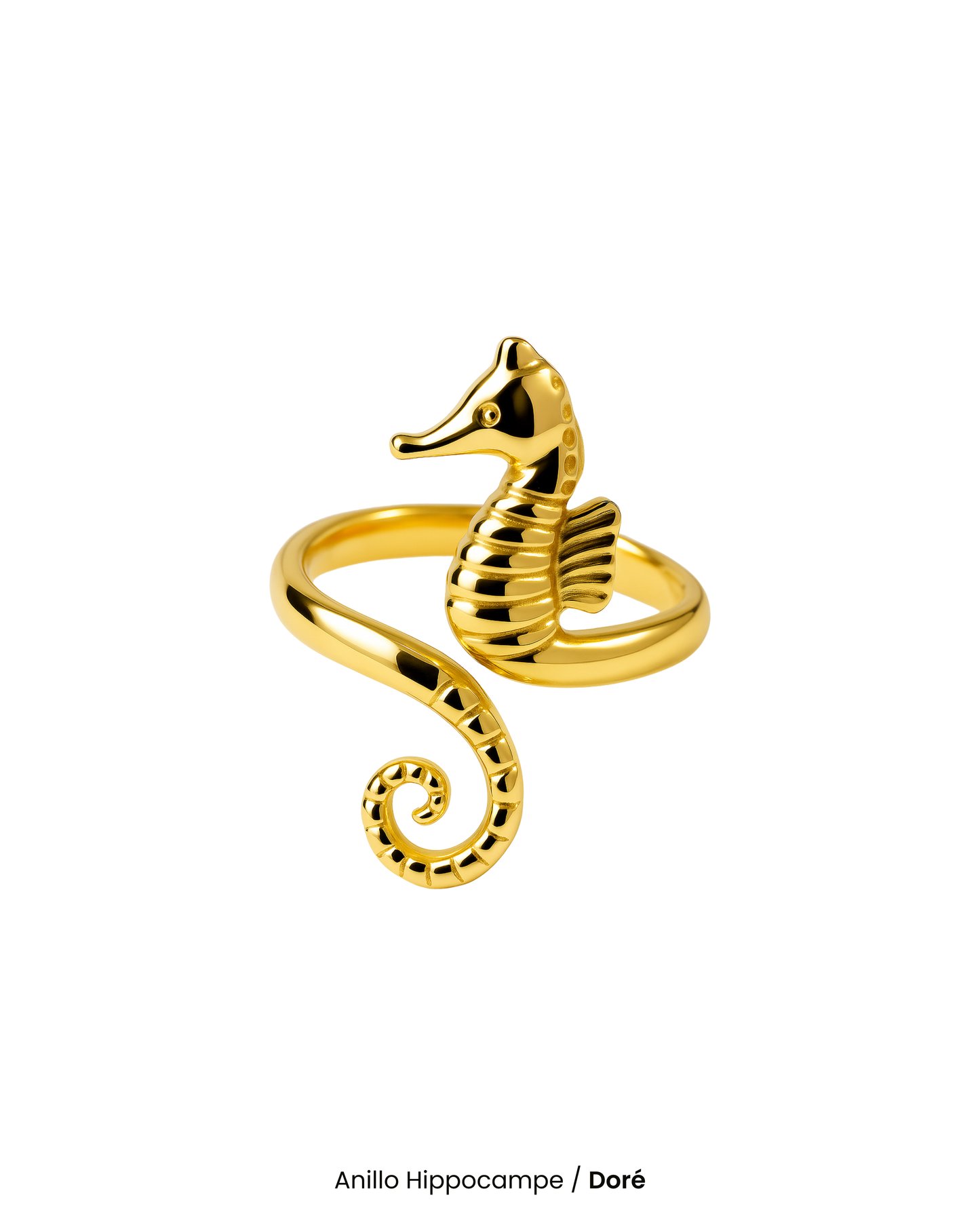 Anillo Hippocampe