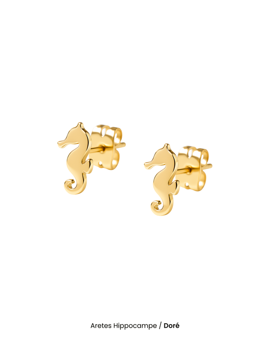 Aretes Hippocampe