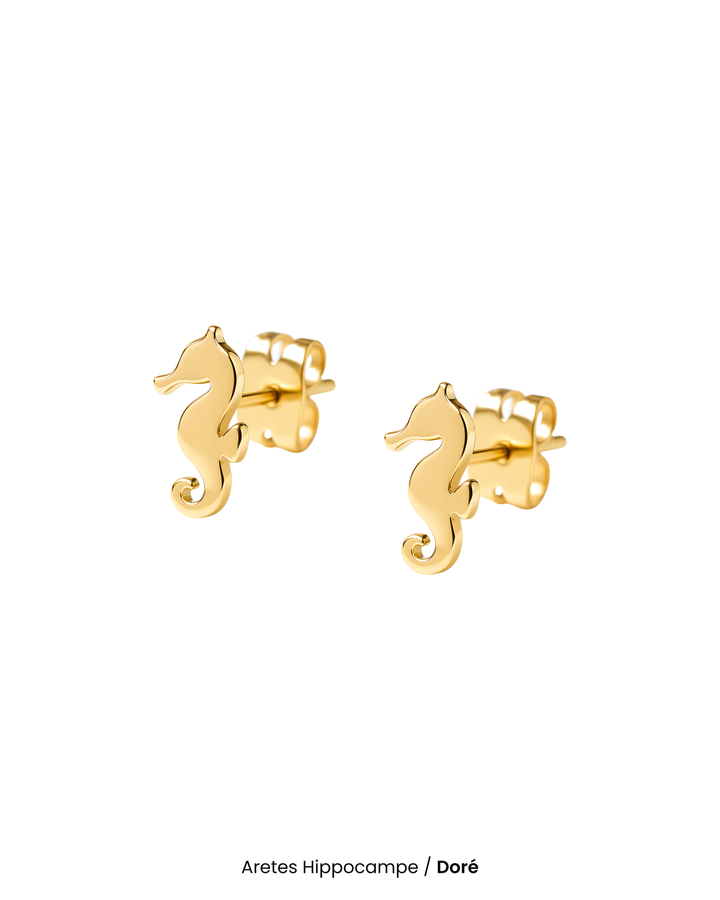 Aretes Hippocampe