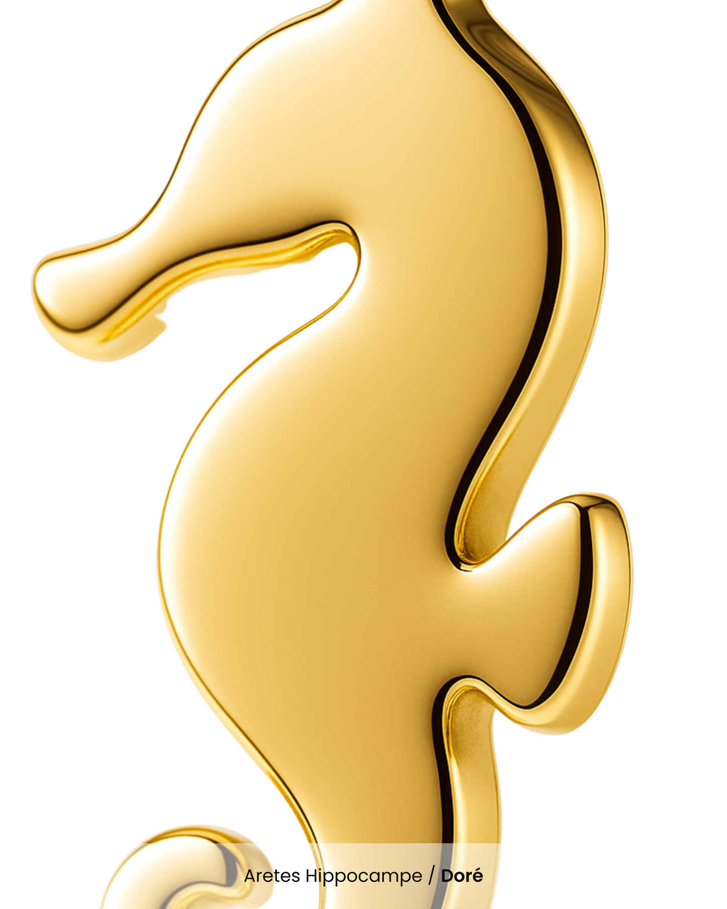 Aretes Hippocampe
