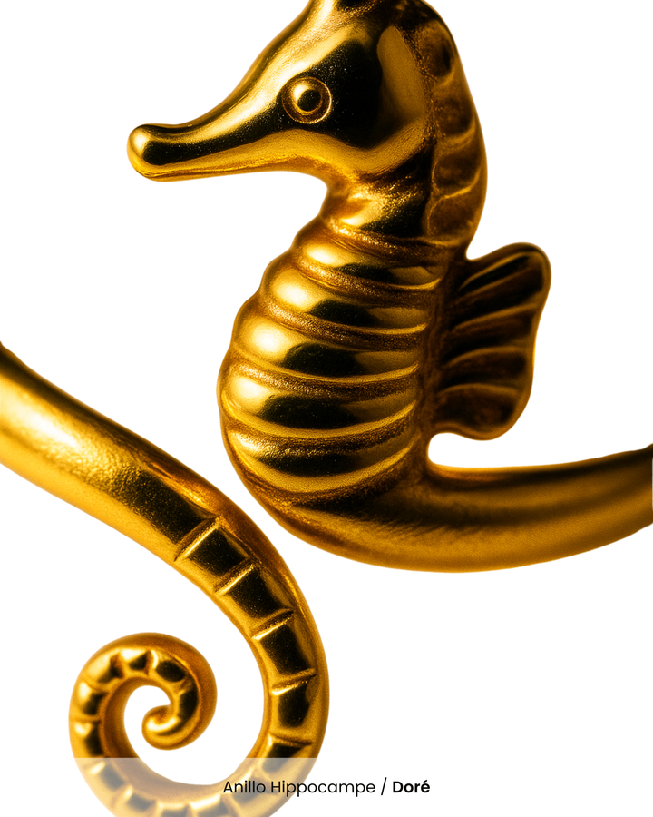 Anillo Hippocampe