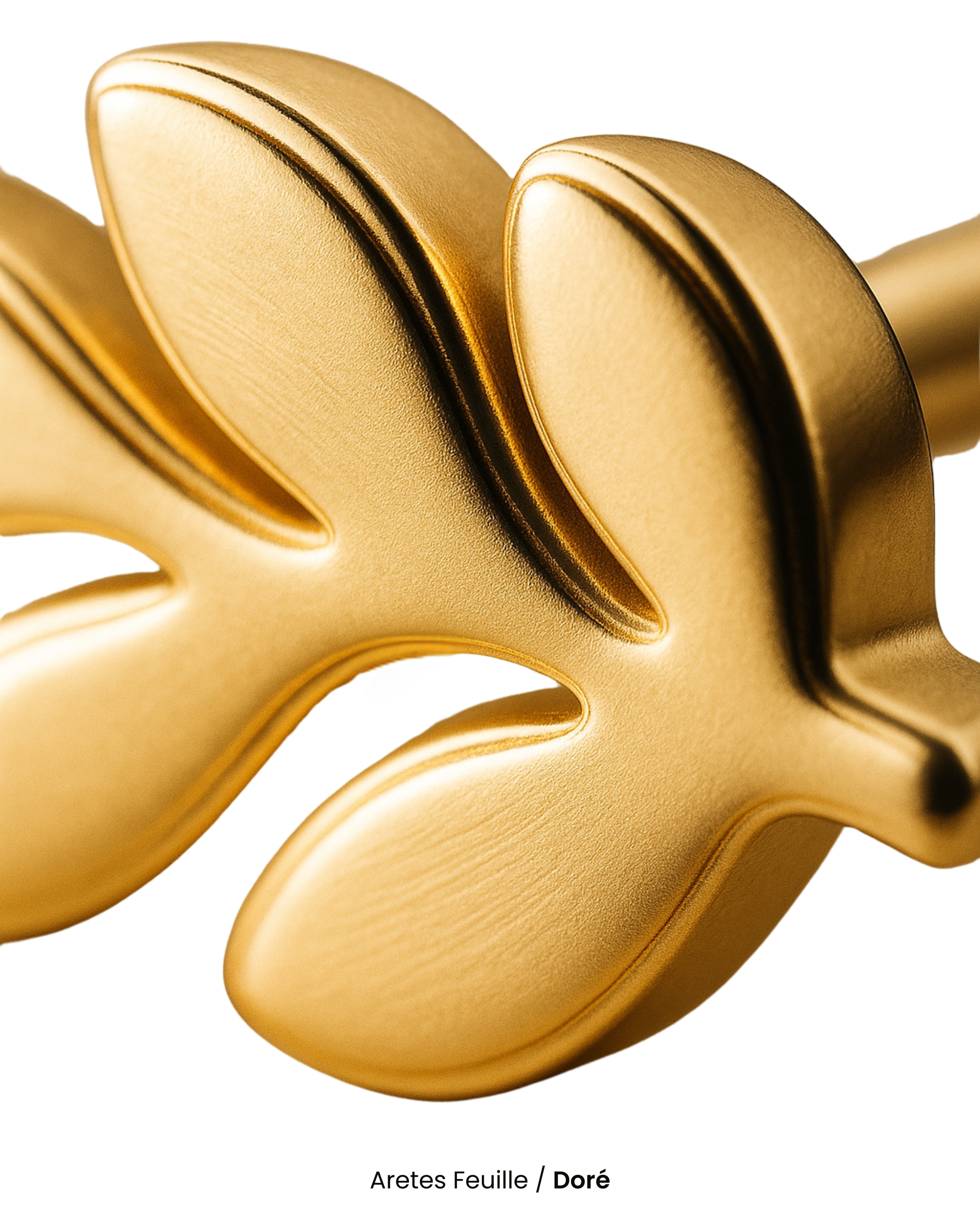 Aretes Feuille