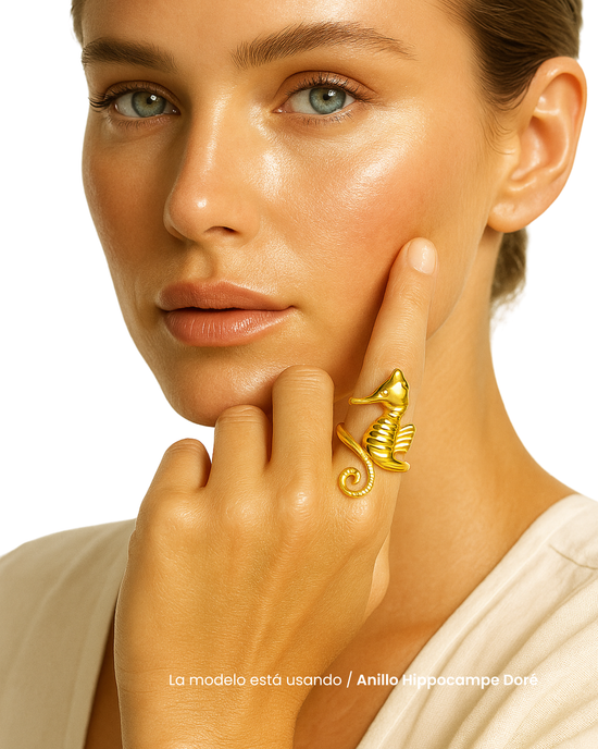 Anillo Hippocampe