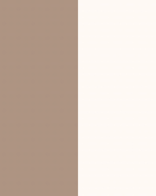 Major Brow Kit