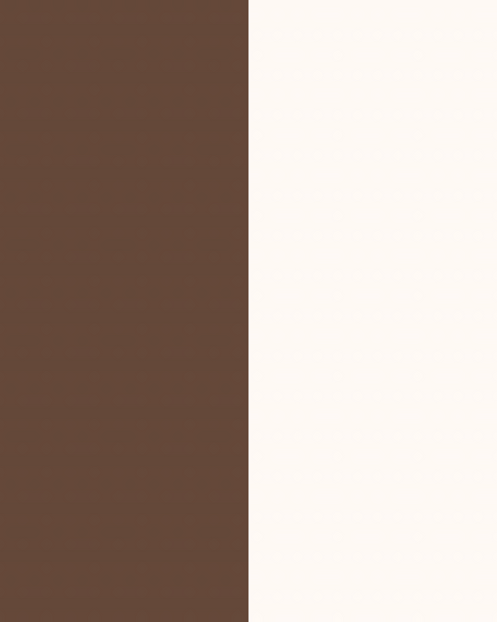 Major Brow Kit