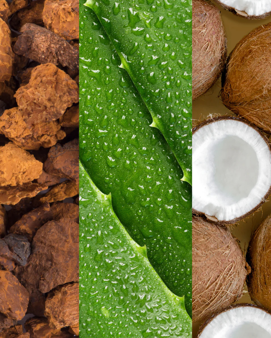 Facial Spray With Aloe, Adaptogens And Coconut Water