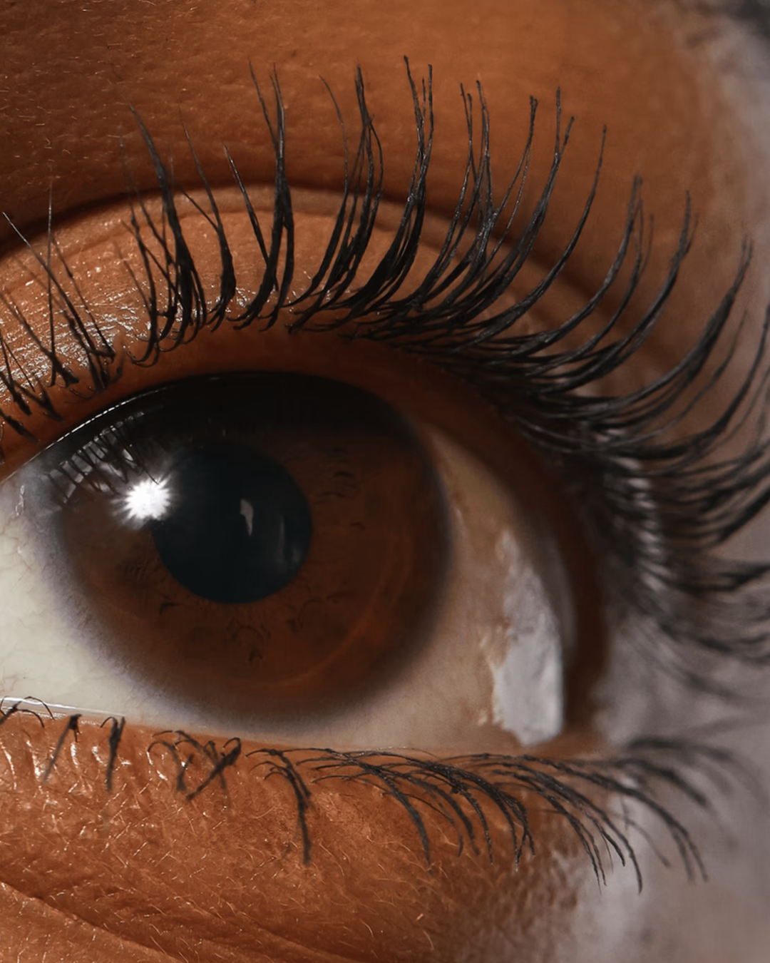 Lash Sculpt Lengthen and Lift Mascara