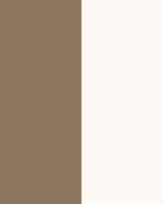 Major Brow Kit