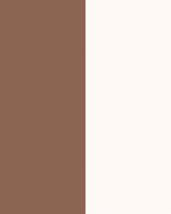 Major Brow Kit