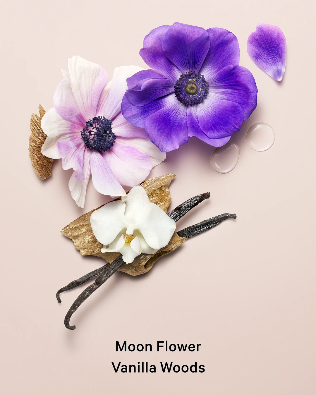 Midnight Blooms Fragrance Mist