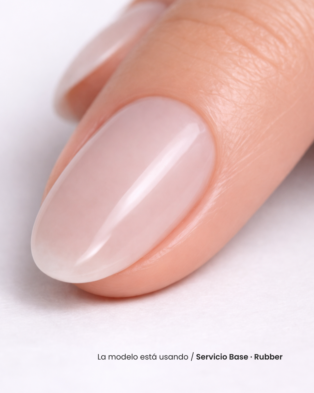 Servicio Base · Rubber