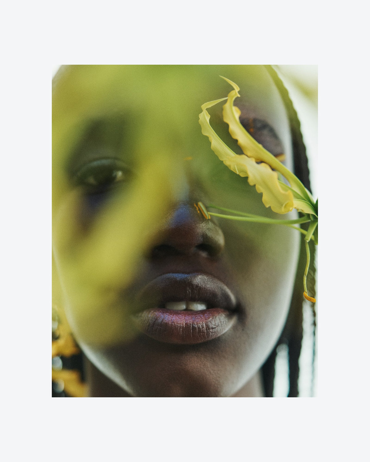 Fleur + You, vista 2